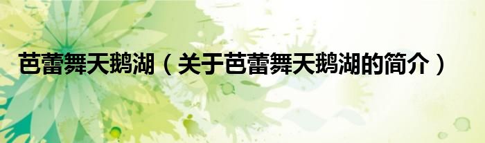 芭蕾舞天鵝湖（關(guān)于芭蕾舞天鵝湖的簡(jiǎn)介）