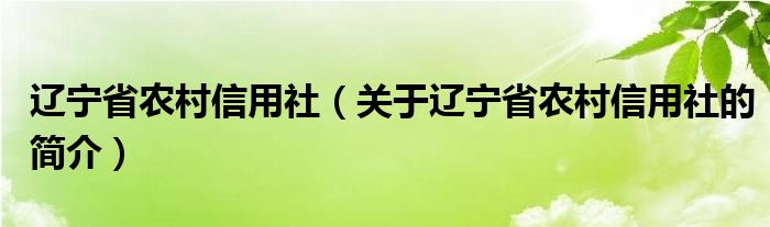 遼寧省農(nóng)村信用社（關(guān)于遼寧省農(nóng)村信用社的簡介）