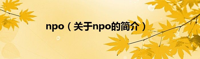 npo（關(guān)于npo的簡介）