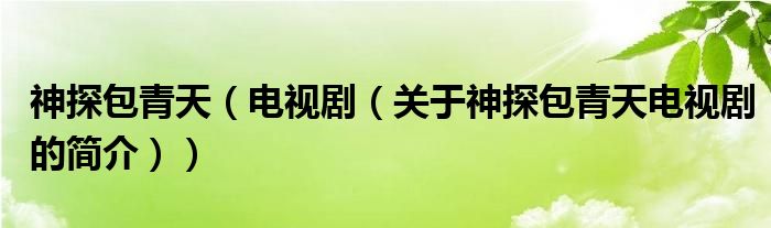 神探包青天（電視?。P(guān)于神探包青天電視劇的簡(jiǎn)介））