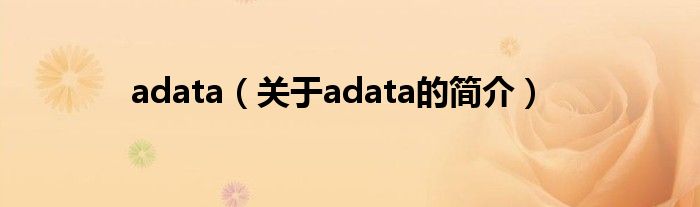 adata（關(guān)于adata的簡介）