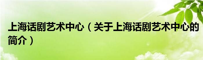 上海話劇藝術中心（關于上海話劇藝術中心的簡介）