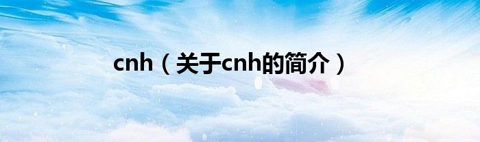 cnh（關(guān)于cnh的簡(jiǎn)介）