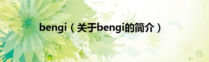 bengi（關(guān)于bengi的簡(jiǎn)介）