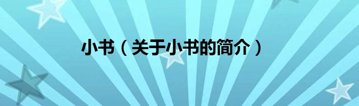 小書（關(guān)于小書的簡介）