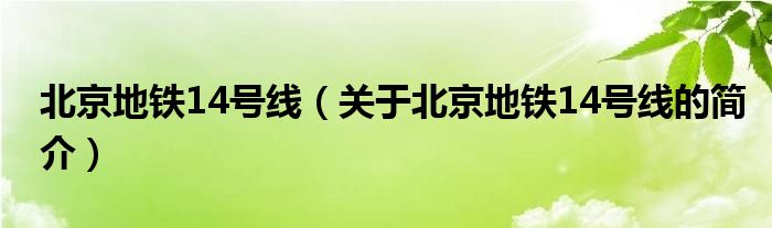 北京地鐵14號(hào)線（關(guān)于北京地鐵14號(hào)線的簡(jiǎn)介）