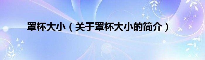 罩杯大小（關(guān)于罩杯大小的簡介）