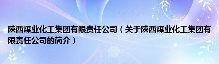 陜西煤業(yè)化工集團(tuán)有限責(zé)任公司（關(guān)于陜西煤業(yè)化工集團(tuán)有限責(zé)任公司的簡介）