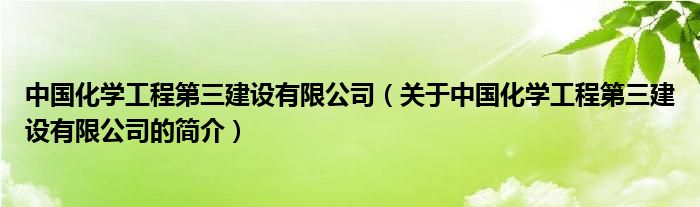 中國(guó)化學(xué)工程第三建設(shè)有限公司（關(guān)于中國(guó)化學(xué)工程第三建設(shè)有限公司的簡(jiǎn)介）