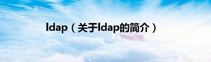 ldap（關(guān)于ldap的簡(jiǎn)介）