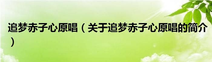 追夢(mèng)赤子心原唱（關(guān)于追夢(mèng)赤子心原唱的簡介）