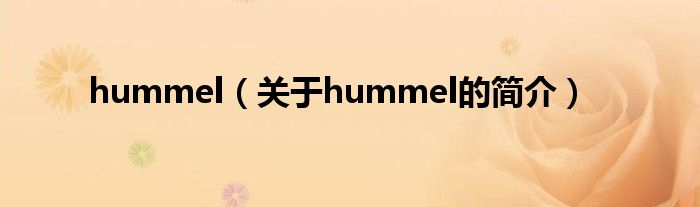 hummel（關(guān)于hummel的簡(jiǎn)介）