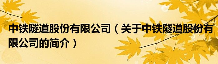 中鐵隧道股份有限公司（關(guān)于中鐵隧道股份有限公司的簡介）