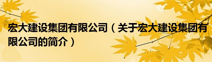 宏大建設(shè)集團(tuán)有限公司（關(guān)于宏大建設(shè)集團(tuán)有限公司的簡介）