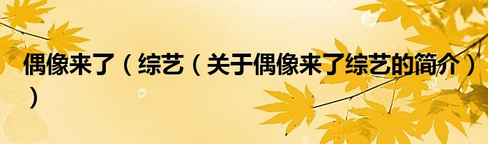 偶像來了（綜藝（關(guān)于偶像來了綜藝的簡(jiǎn)介））