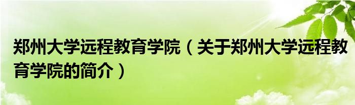 鄭州大學遠程教育學院（關(guān)于鄭州大學遠程教育學院的簡介）