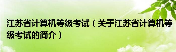 江蘇省計(jì)算機(jī)等級(jí)考試（關(guān)于江蘇省計(jì)算機(jī)等級(jí)考試的簡(jiǎn)介）