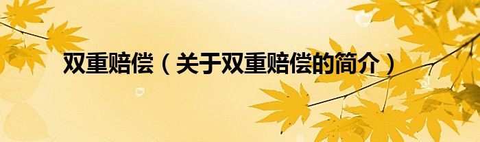 雙重賠償（關(guān)于雙重賠償?shù)暮?jiǎn)介）