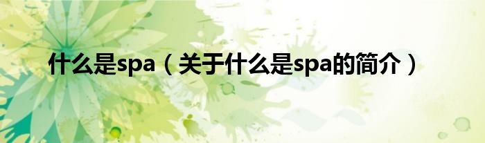 什么是spa（關(guān)于什么是spa的簡(jiǎn)介）