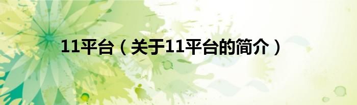 11平臺（關(guān)于11平臺的簡介）