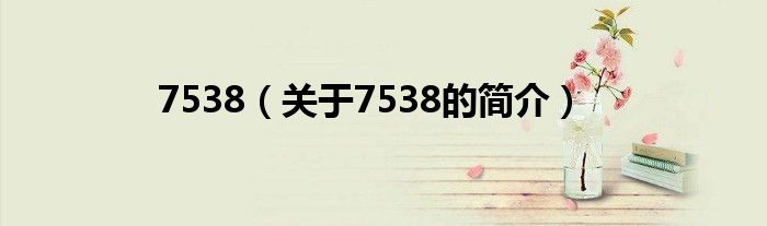 7538（關(guān)于7538的簡(jiǎn)介）