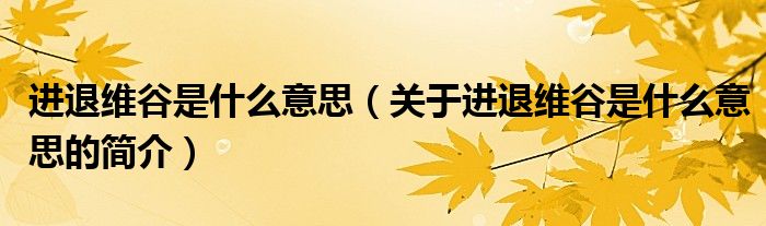 進退維谷是什么意思（關(guān)于進退維谷是什么意思的簡介）