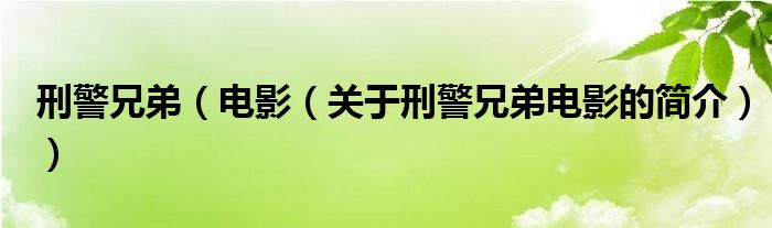 刑警兄弟（電影（關(guān)于刑警兄弟電影的簡(jiǎn)介））