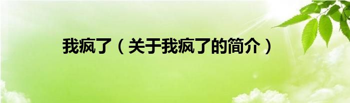 我瘋了（關(guān)于我瘋了的簡介）