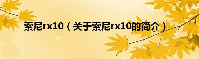 索尼rx10（關(guān)于索尼rx10的簡(jiǎn)介）