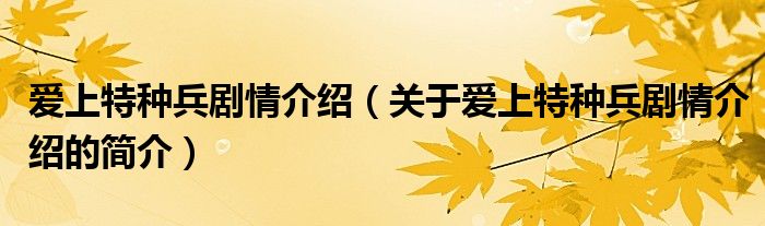 愛上特種兵劇情介紹（關(guān)于愛上特種兵劇情介紹的簡(jiǎn)介）