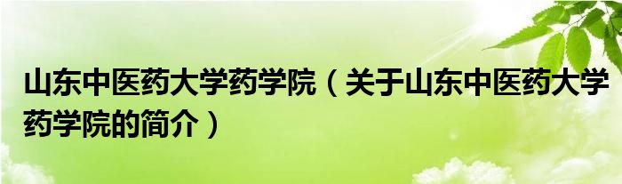 山東中醫(yī)藥大學(xué)藥學(xué)院（關(guān)于山東中醫(yī)藥大學(xué)藥學(xué)院的簡介）