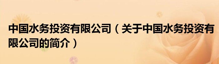 中國(guó)水務(wù)投資有限公司（關(guān)于中國(guó)水務(wù)投資有限公司的簡(jiǎn)介）