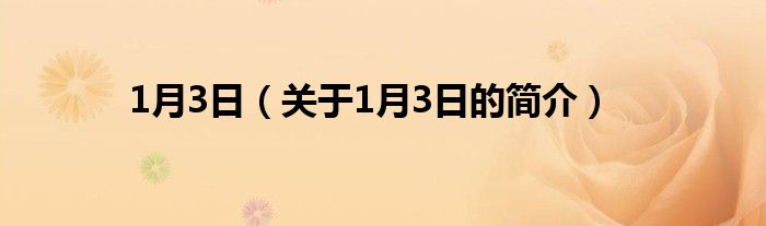 1月3日（關(guān)于1月3日的簡(jiǎn)介）