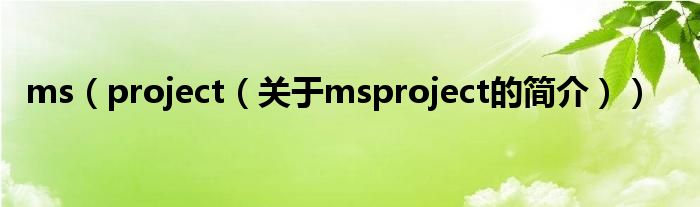 ms（project（關于msproject的簡介））