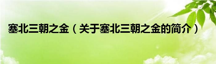 塞北三朝之金（關(guān)于塞北三朝之金的簡(jiǎn)介）