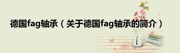 德國fag軸承（關(guān)于德國fag軸承的簡介）