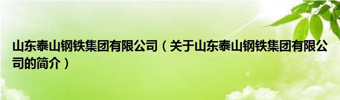 山東泰山鋼鐵集團(tuán)有限公司（關(guān)于山東泰山鋼鐵集團(tuán)有限公司的簡(jiǎn)介）