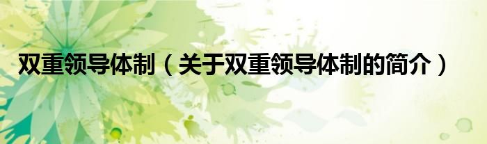 雙重領(lǐng)導(dǎo)體制（關(guān)于雙重領(lǐng)導(dǎo)體制的簡(jiǎn)介）