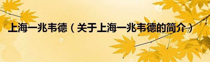 上海一兆韋德（關(guān)于上海一兆韋德的簡(jiǎn)介）