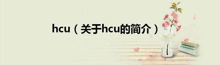 hcu（關于hcu的簡介）