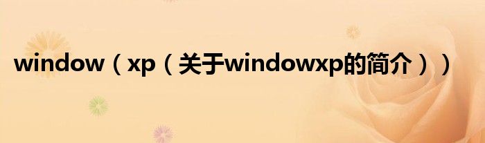 window（xp（關(guān)于windowxp的簡(jiǎn)介））