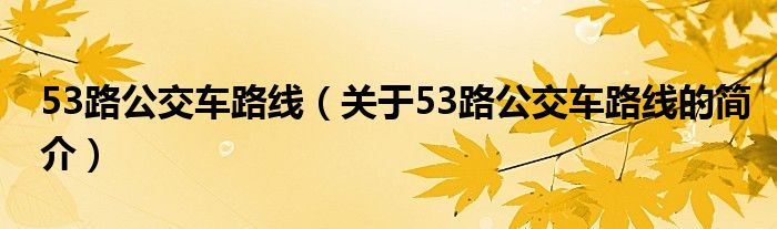 53路公交車路線（關(guān)于53路公交車路線的簡(jiǎn)介）