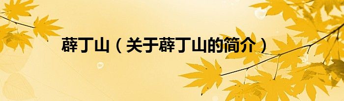 薜丁山（關(guān)于薜丁山的簡(jiǎn)介）