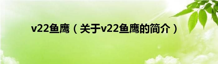 v22魚鷹（關(guān)于v22魚鷹的簡介）