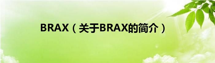 BRAX（關(guān)于BRAX的簡介）