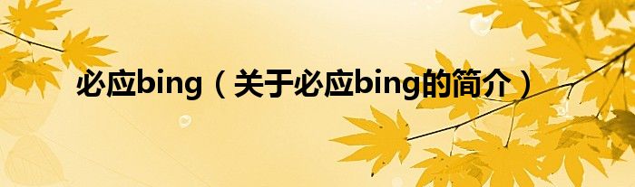 必應(yīng)bing（關(guān)于必應(yīng)bing的簡介）