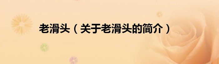 老滑頭（關(guān)于老滑頭的簡(jiǎn)介）