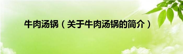 牛肉湯鍋（關(guān)于牛肉湯鍋的簡(jiǎn)介）