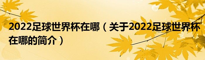 2022足球世界杯在哪（關(guān)于2022足球世界杯在哪的簡(jiǎn)介）