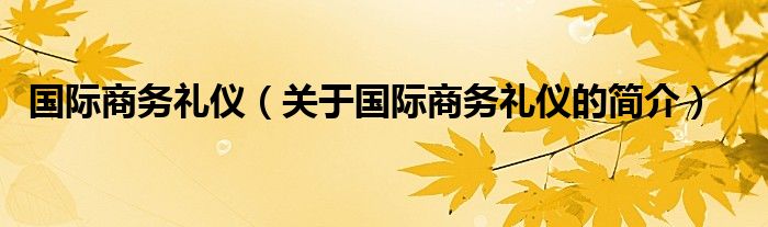 國際商務(wù)禮儀（關(guān)于國際商務(wù)禮儀的簡介）